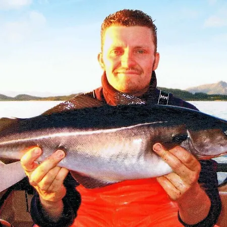 Holiday Vesteralen Ii Nyaraló Bø i Vesterålen